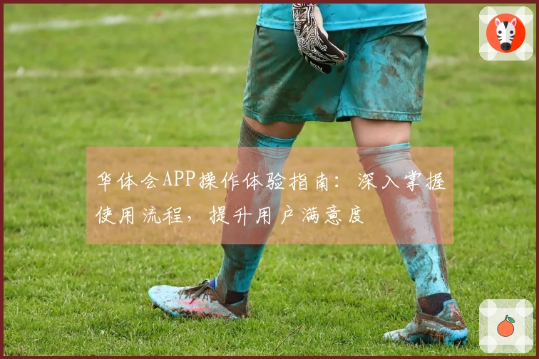 华体会APP操作体验指南：深入掌握使用流程，提升用户满意度